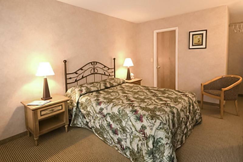 לבאלט Lamplight Motel מראה חיצוני תמונה
